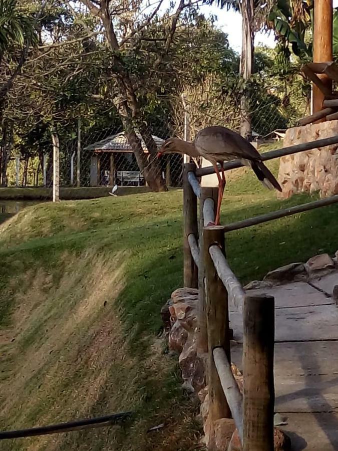 Chacara Aguas Claras Villa Monte Sião Dış mekan fotoğraf